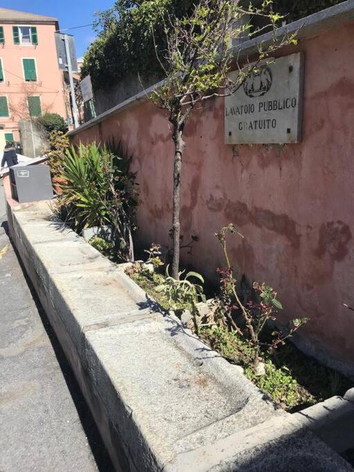 Pisi Home, 2 Min Dalla Spiaggia E Dall' Ospedale Gaslini Γένοβα Εξωτερικό φωτογραφία