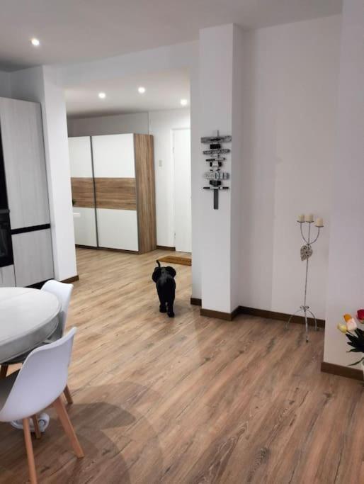 Pisi Home, 2 Min Dalla Spiaggia E Dall' Ospedale Gaslini Γένοβα Εξωτερικό φωτογραφία